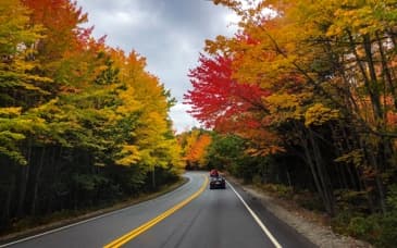 Color Cruise Tour