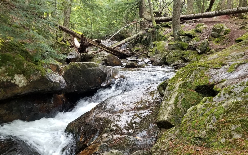 Big-Pup-Creek-Falls-fall-season.jpg