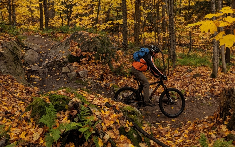 Biking - fall