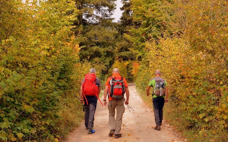 Hiking - fall season