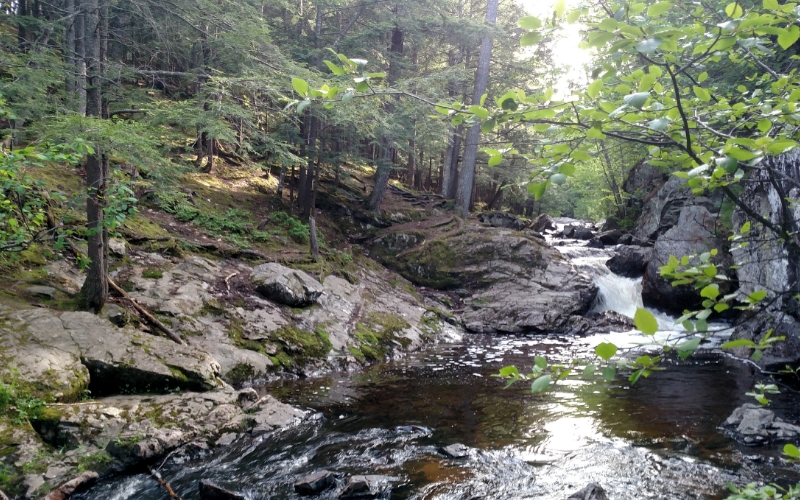 Little Garlic Falls - fall